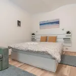 Comfy & Homy Vibe In The Heart Of